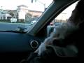 videos de Blizzards dance