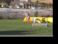 Ali and Pasha do agility