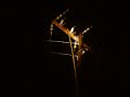 lineman-in-januray.html