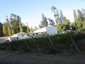 Proceso de produccion del vino