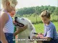 Only in Sevierville Tennessee Part 1 of 2 Only in Sevierville Tennessee Part 1 of 2