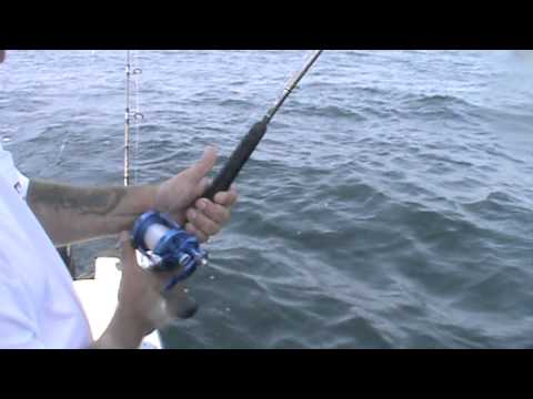 Hi Flier Avet MX 20 class Bluefin Hi Flier July 21 with Gene Linder