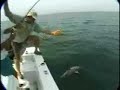Shark Fishing Jacksonville, Jacksonville Beach Fl Shark Fishing Jacksonville, Jacksonville Beach Fl