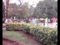 shadows-park