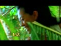 Survivor Intro Request 99