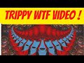 White Widow Dynosphere - psychedelic surreal  video art