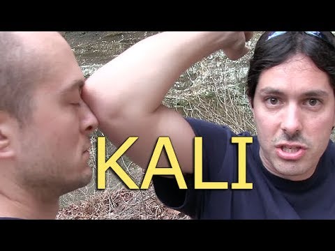 Incredible Filipino Martial Arts Technique: From Stick to Empty Hands