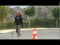 Vidal long skate en Almeria Vidal long skate en Almeria