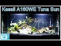 Kessil A160we Tuna Sun Led Aquarium Light