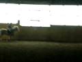videos de Natacha et Ephrem