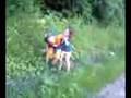 videos de The beasts