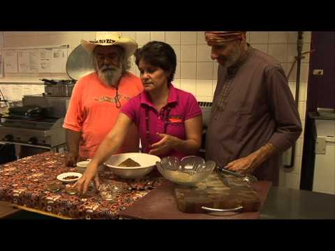 how to harvest wattle seeds