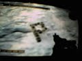 bft cyanure-arsenik