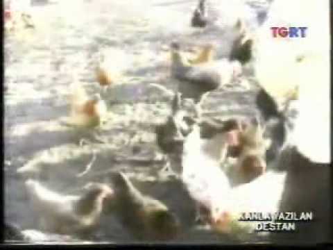 Turkish Documentary Film, Chechnya