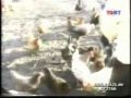 turkish documentary film chechnya