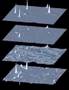 Topological Scars Chern-Simon Density in g=5 2d U(1)