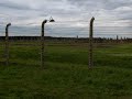 Auschwitz, una visita che lascia il segno