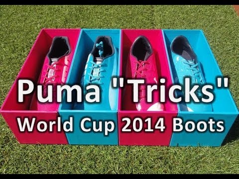 puma