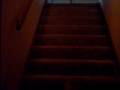Kid Dies Falling Down Stairs
