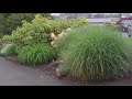 Click here to watch this video 2nd day Ride in the rain with the Veltop Classic + model moderate rain
