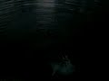 diving-girls.html