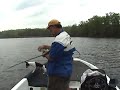 Longnose Gar Fishing