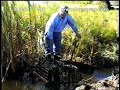 Beaver trap set in drainage ditch Beaver trap set in drainage ditch
