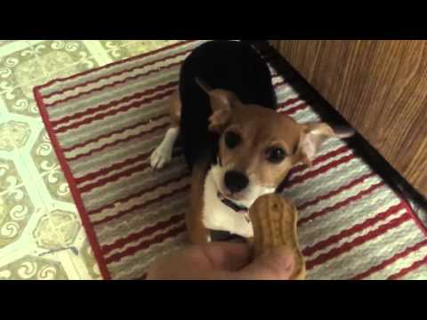 Play YouTube video