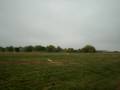 videos de Trebuchet Direct Hit