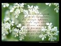 ADORO AMAR VOC�