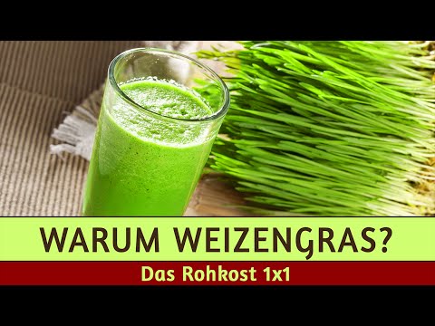 Weizengraspulver - Meine Geheimwaffe im Winter (+Kauftipp)