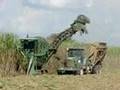 John Deere 3510 Sugarcane Harvester