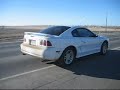Stang !