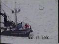 Alaskan Monarch Video