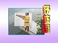 Shaolin/Buddhist Qigong Shujintu Jiaolong Chushui