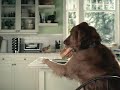 Pepsi Dog