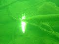 Pike eating another pike Pike eating another pike