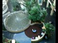 I uploaded a YouTube video -- Qik - Mobile video by shimshons http://www.youtube.com/watch?v=xR99Ck07td0&feature=autoshare_twitter