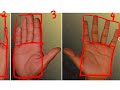 Palmistry & Palm Reading Secrets Palmistry & Palm Reading Secrets