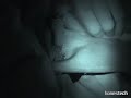 The Babiano Witch(Bitch) Project I