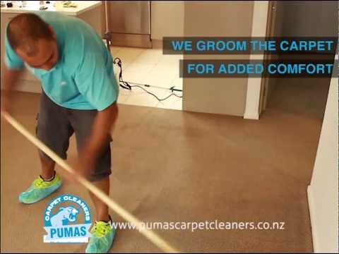 Carpet Cleaning Auckland | 09-9407883