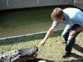 l'alligator et la main...