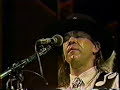 Stevie