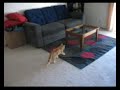 Video Tour