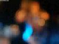 shannonleto