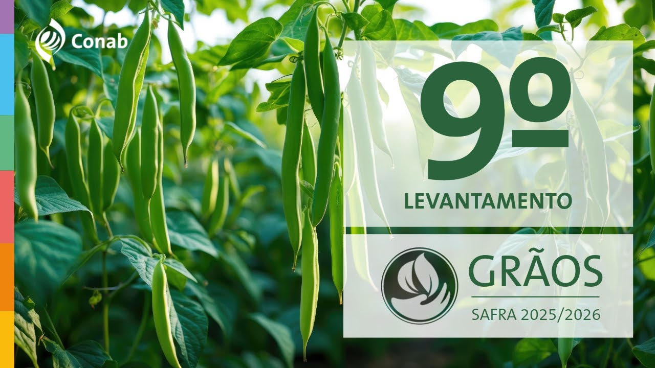 9º Levantamento da Safra de Grãos - 2025/2026