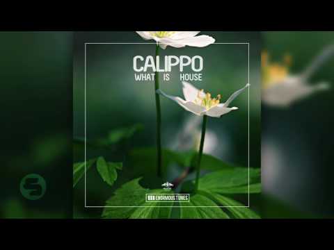 Calippo - What Is House