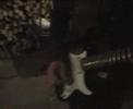 mai jart g�il gou on (my heart will go on)