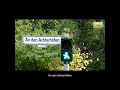 DWGB TV | Wohnraumbörse | 12349 Berlin (Neukölln-Buckow) | An den Achterhöfen