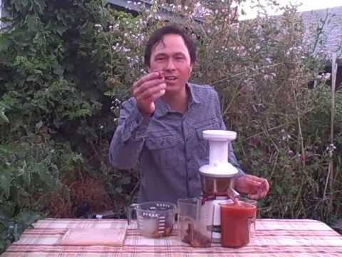 video-linktoworks-Make Fresh Plum Juice at Home with the Omega VRT330 HD...